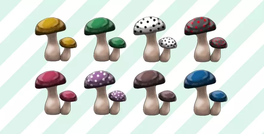 8种不同样子的蘑菇