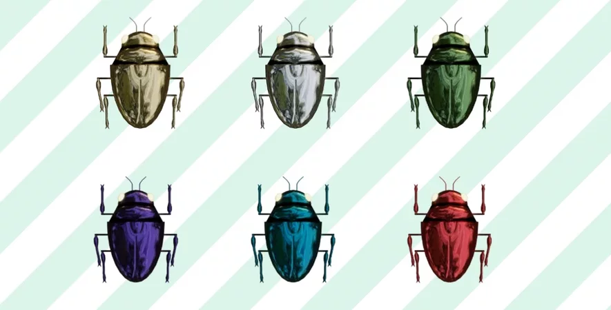 6种不同颜色的圣甲虫